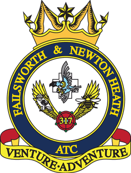 317 Squadron crest